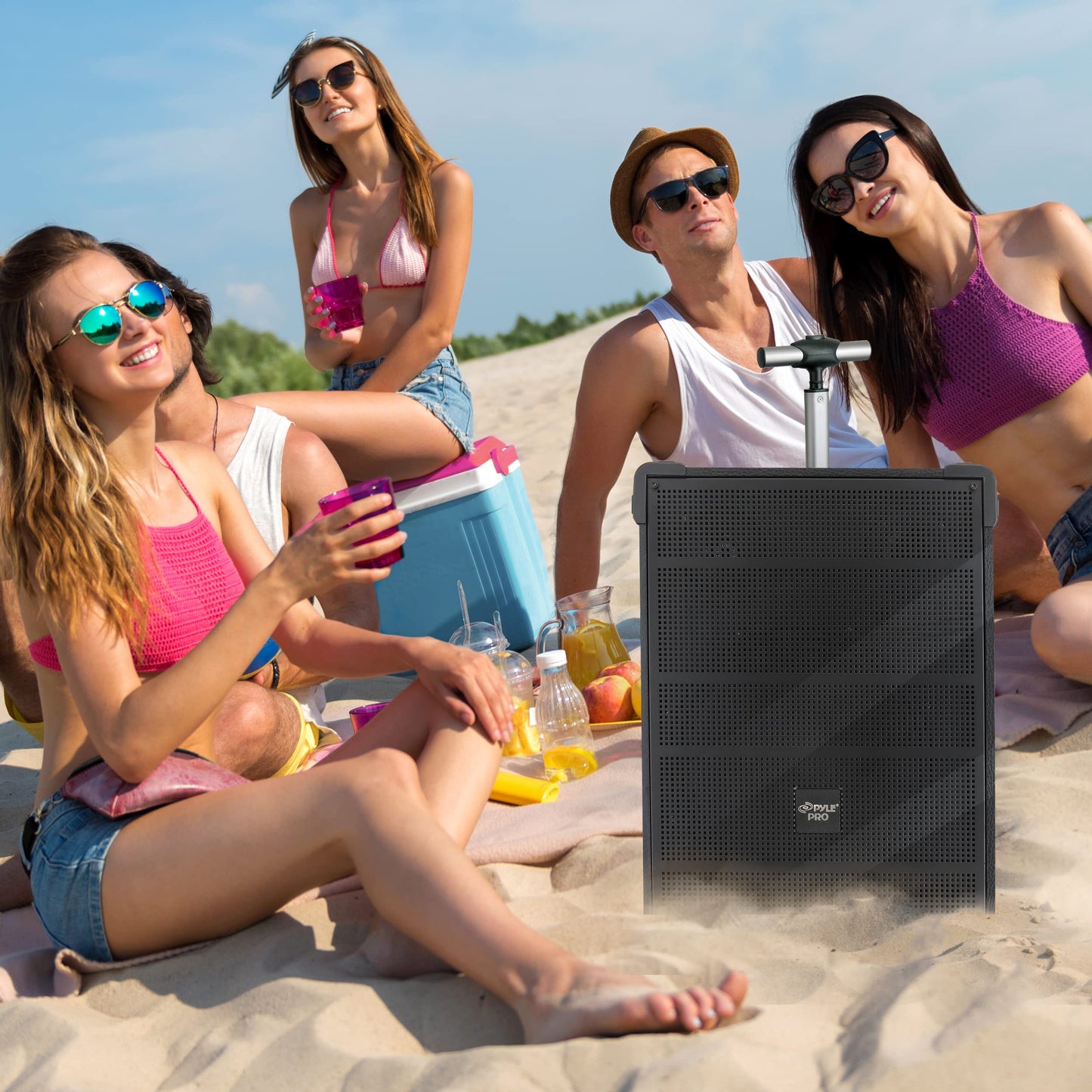 Pyle 10'' Portable Wireless Bluetooth Speaker System - Built-in Rechargeable Battery, Wireless Microphone, USB/Micro SD/FM - 600 Watt FM Radio with Digital LED Display, PWMA1099A,Black