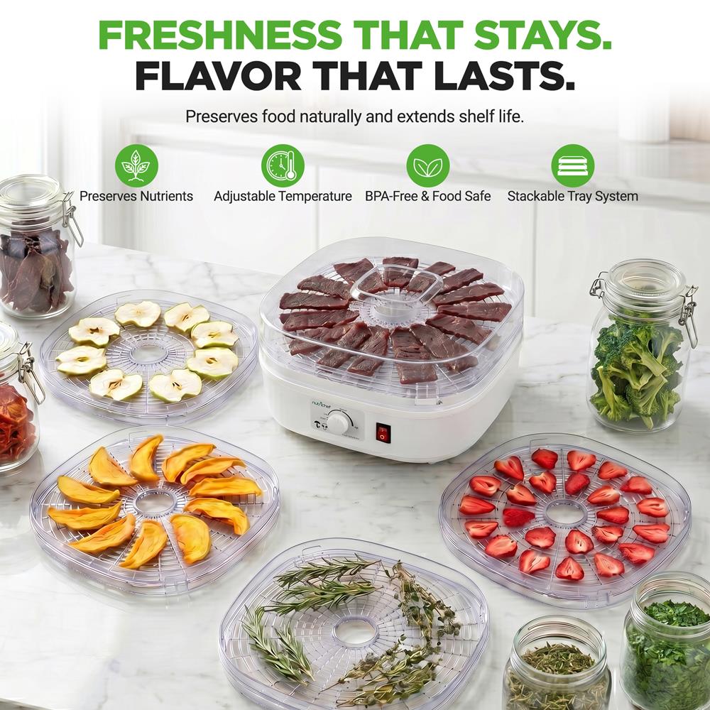 Compact Countertop Food Dehydrator