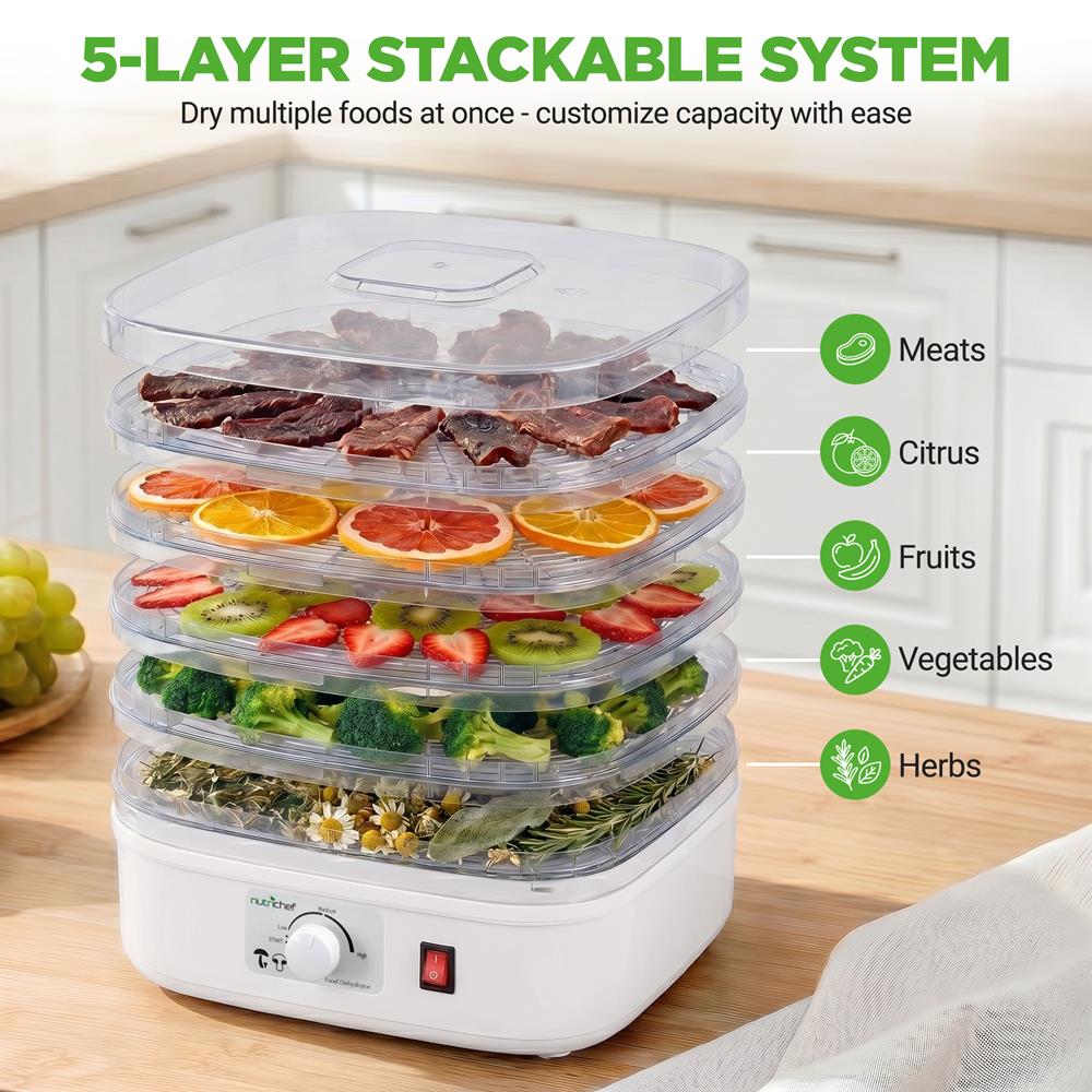 Compact Countertop Food Dehydrator